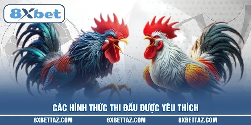 Đá gà 8XBET – Sân chơi trực tiếp kịch tính nhất 2026 - LUCKIVEX68