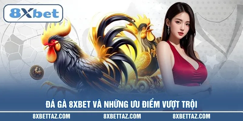 Đá gà 8XBET – Sân chơi trực tiếp kịch tính nhất 2026 - LUCKIVEX68