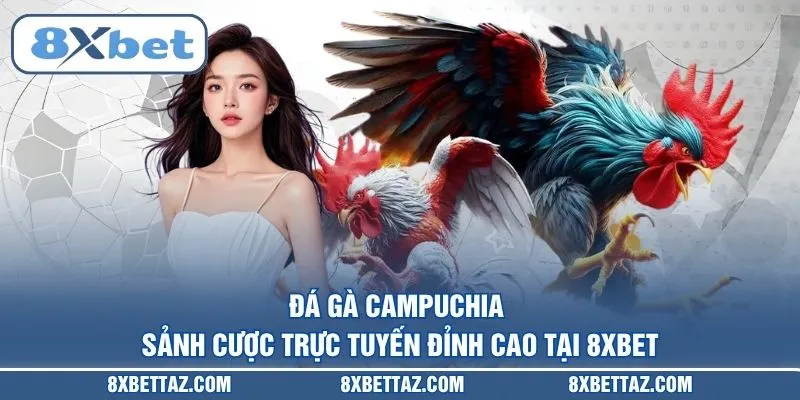 Đá gà 8XBET – Sân chơi trực tiếp kịch tính nhất 2026 - LUCKIVEX68