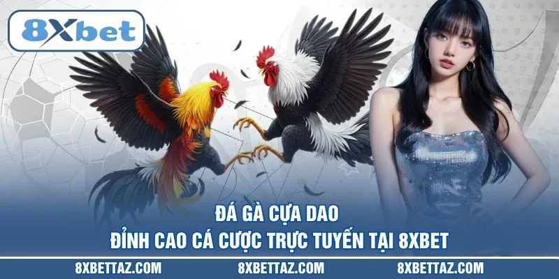 Đá gà 8XBET – Sân chơi trực tiếp kịch tính nhất 2026 - LUCKIVEX68
