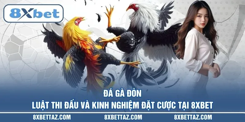 Đá gà 8XBET – Sân chơi trực tiếp kịch tính nhất 2026 - LUCKIVEX68