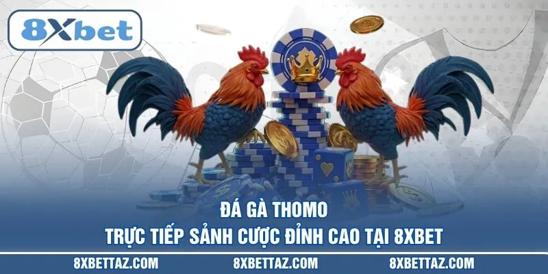 Đá gà 8XBET – Sân chơi trực tiếp kịch tính nhất 2026 - LUCKIVEX68