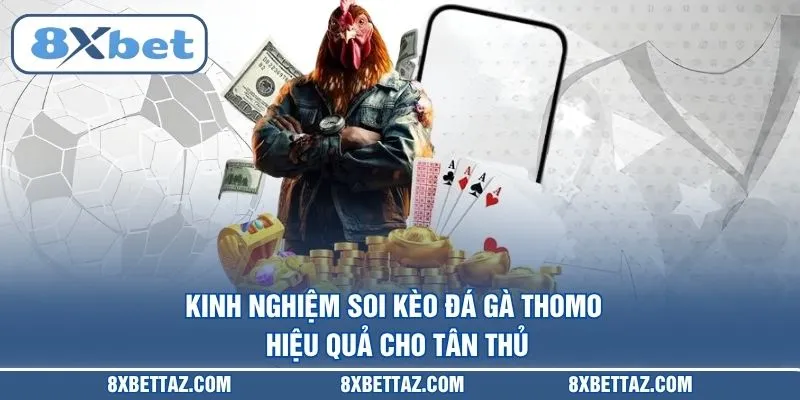 Đá Gà Thomo – Trực Tiếp Sảnh Cược Đỉnh Cao Tại 8XBET - LUCKIVEX68