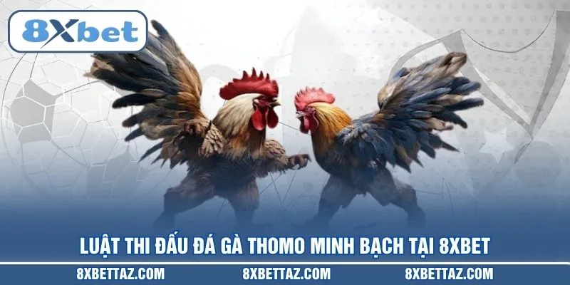 Đá Gà Thomo – Trực Tiếp Sảnh Cược Đỉnh Cao Tại 8XBET - LUCKIVEX68