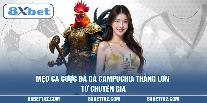 Đá Gà Campuchia – Sảnh Cược Trực Tuyến Đỉnh Cao Tại 8XBET - LUCKIVEX68