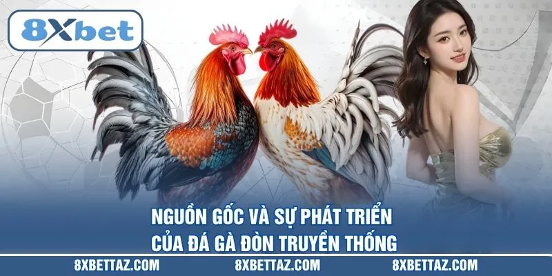 Đá Gà Đòn – Luật Thi Đấu Và Kinh Nghiệm Đặt Cược Tại 8XBET - LUCKIVEX68